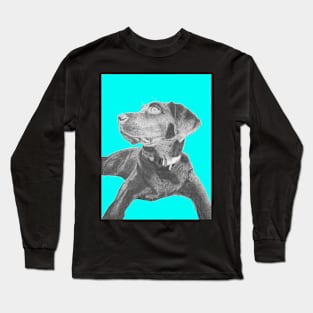 Black Labrador Retriever in Blue Long Sleeve T-Shirt